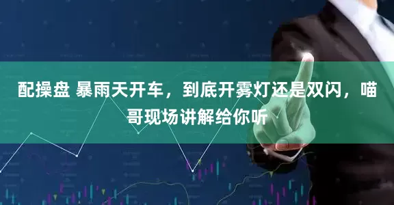 配操盘 暴雨天开车，到底开雾灯还是双闪，喵哥现场讲解给你听