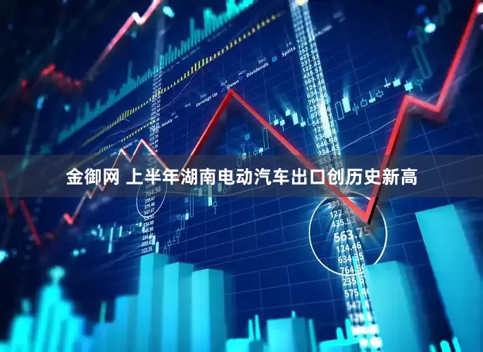 金御网 上半年湖南电动汽车出口创历史新高